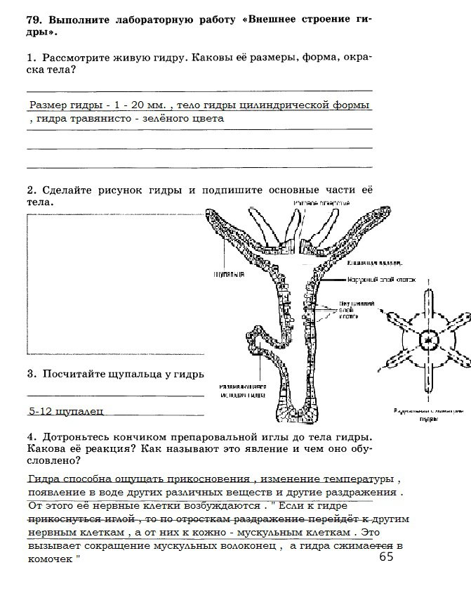Кракен официальный сайт онион