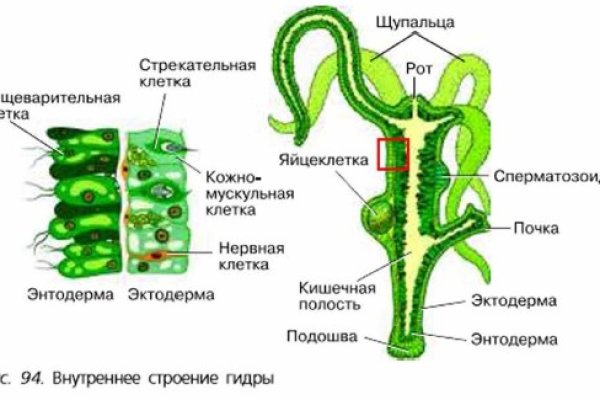 Кракен ссылка стор